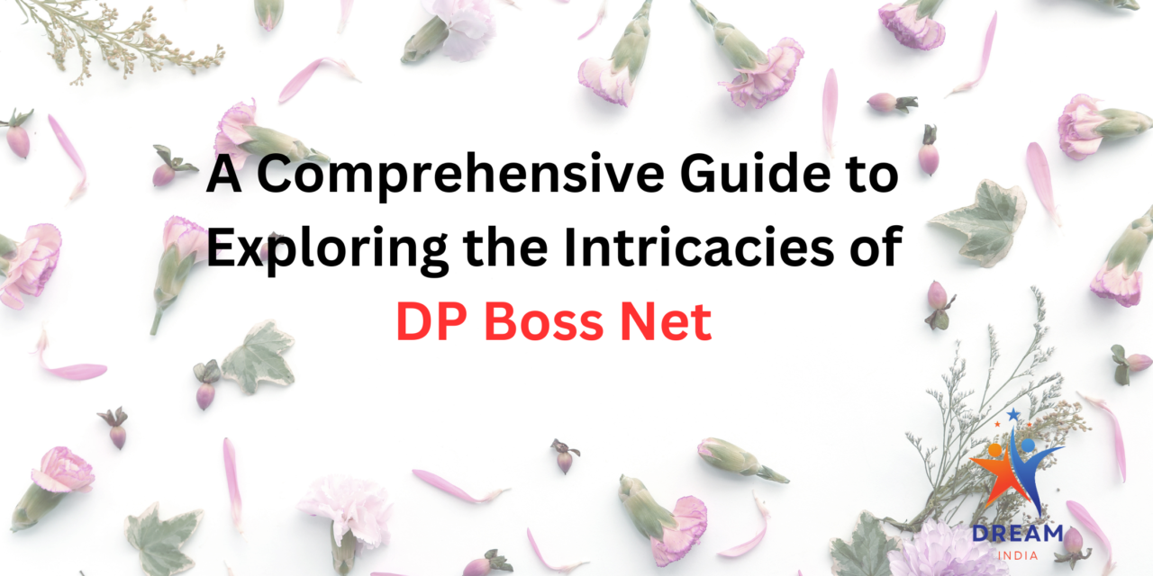 A Comprehensive Guide to Exploring the Intricacies of DP Boss Net