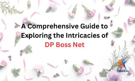 A Comprehensive Guide to Exploring the Intricacies of DP Boss Net